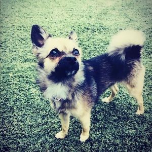 Meet your Posher, Kendall